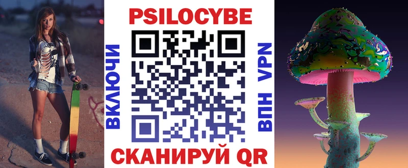 Псилоцибиновые грибы Psilocybe  Санкт-Петербург 