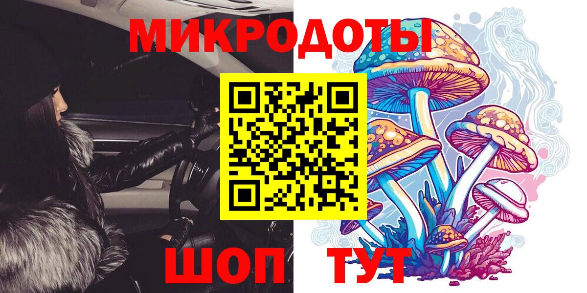 Псилоцибиновые грибы прущие грибы Санкт-Петербург