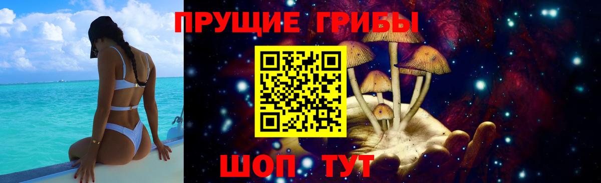 Санкт-Петербург  Псилоцибиновые грибы GOLDEN TEACHER  купить  сайты  Вход с VPN 